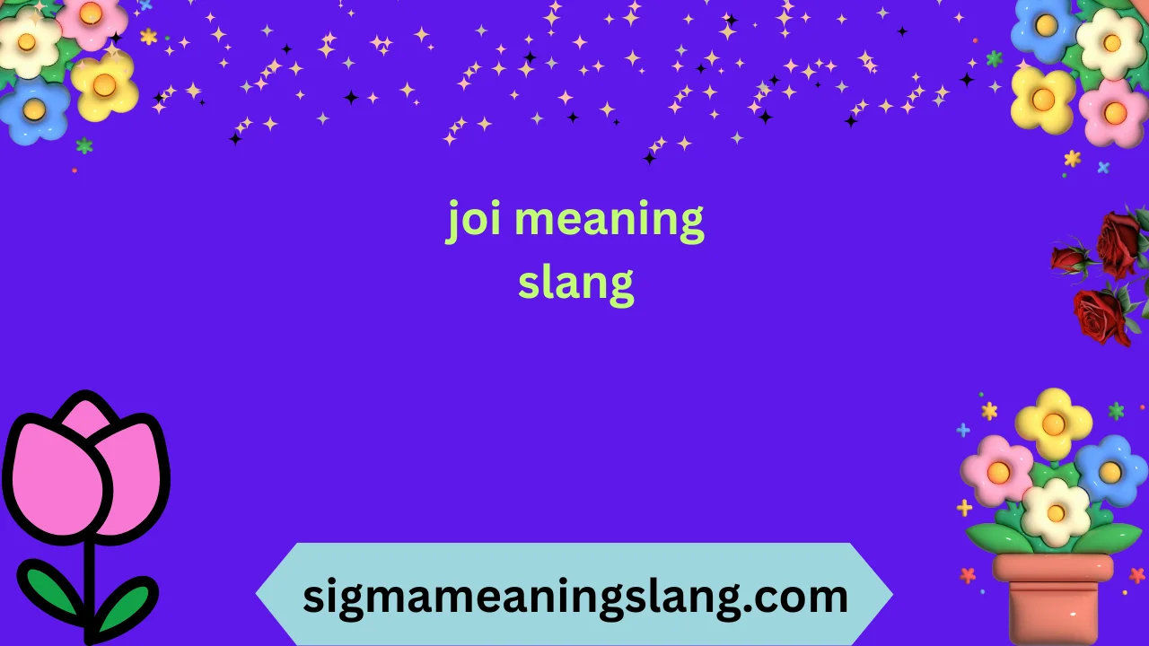 joi meaning slang