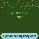 js full form in chat