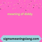 meaning of diddy