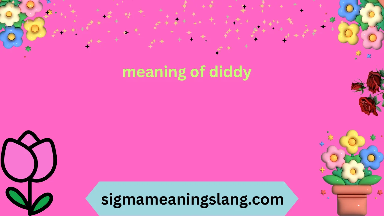 meaning of diddy