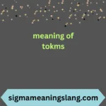 meaning of tokms