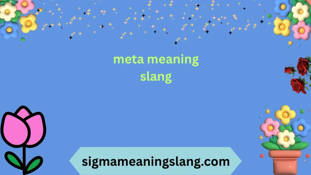 meta meaning slang