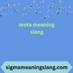 meta meaning slang