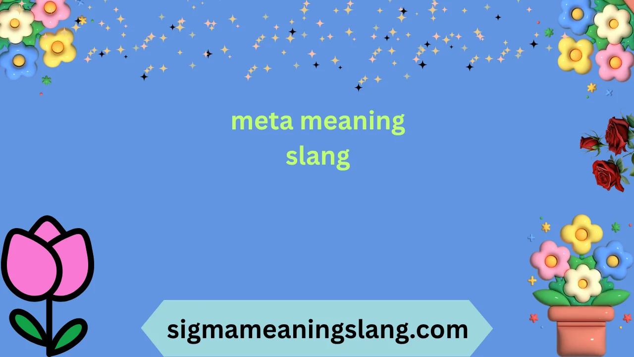 meta meaning slang