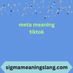 meta meaning tiktok