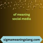of meaning social media