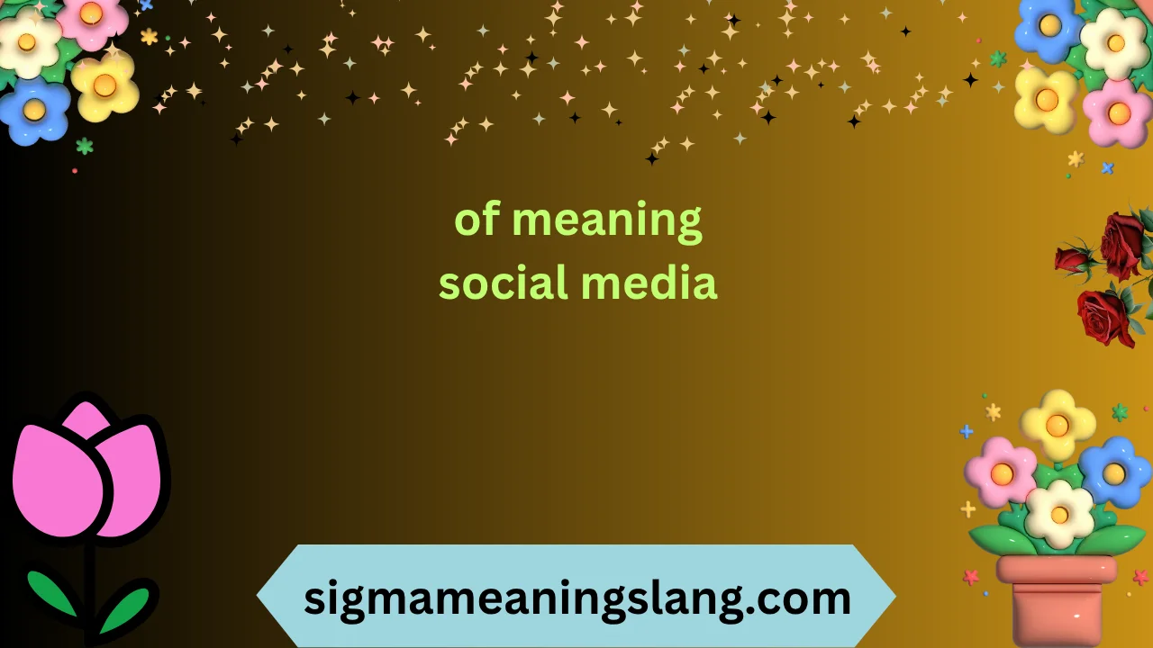 of meaning social media