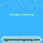 of page meaning