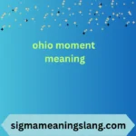 ohio moment meaning