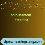 ohio moment meaning