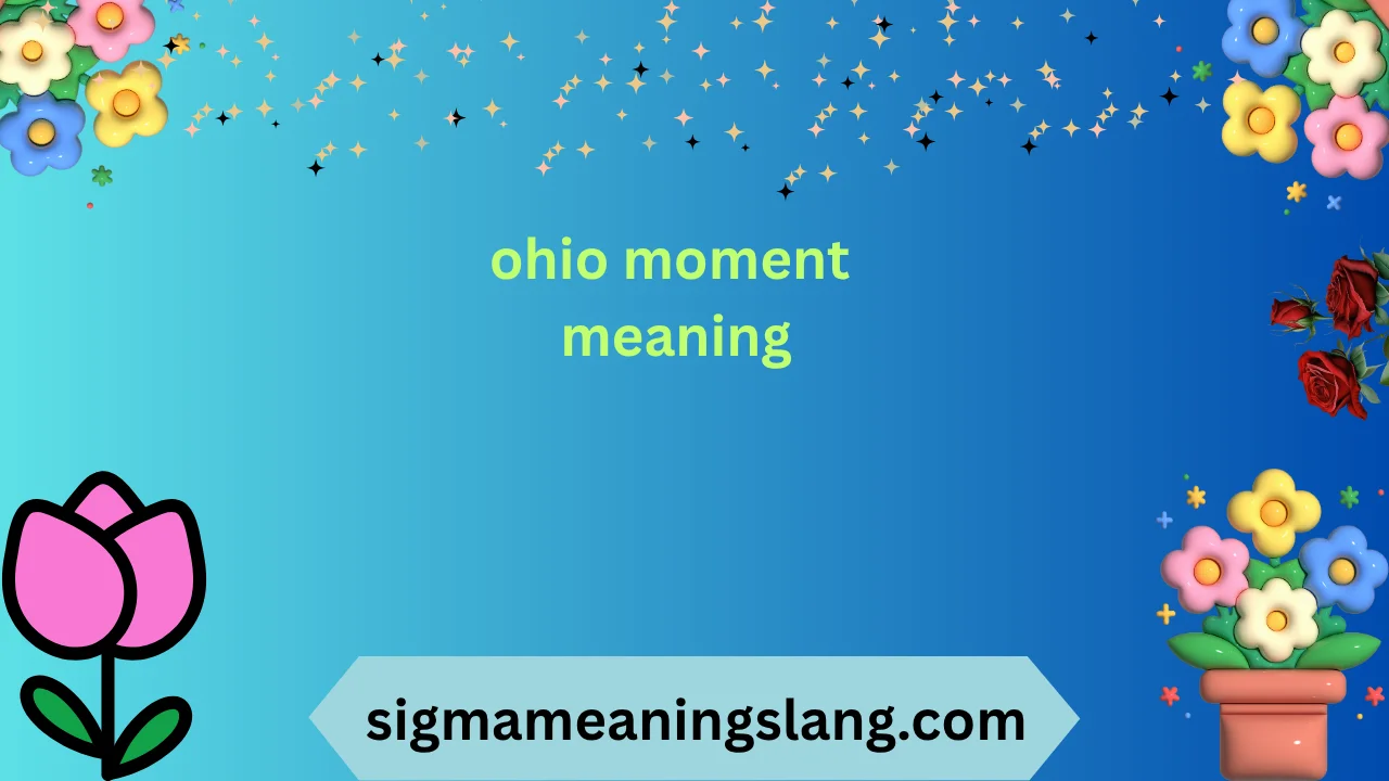 ohio moment meaning