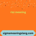 rizz meaning