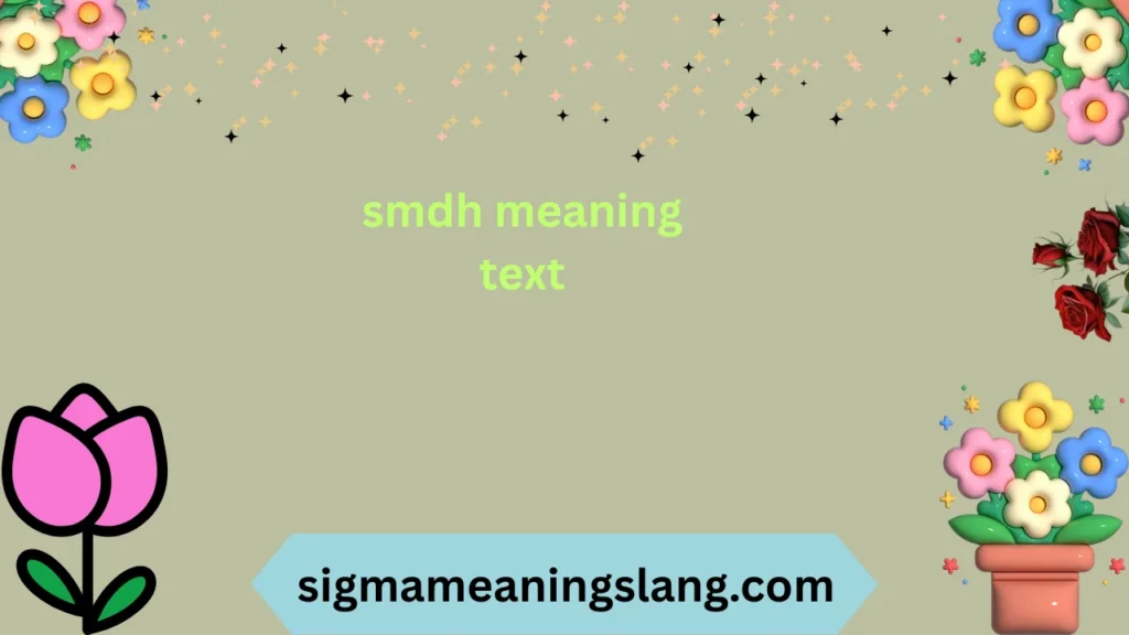 smdh meaning text