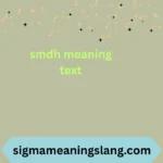 smdh meaning text