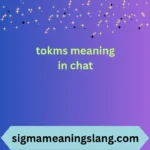 tokms meaning in chat