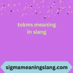 tokms meaning in slang