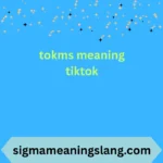 tokms meaning tiktok