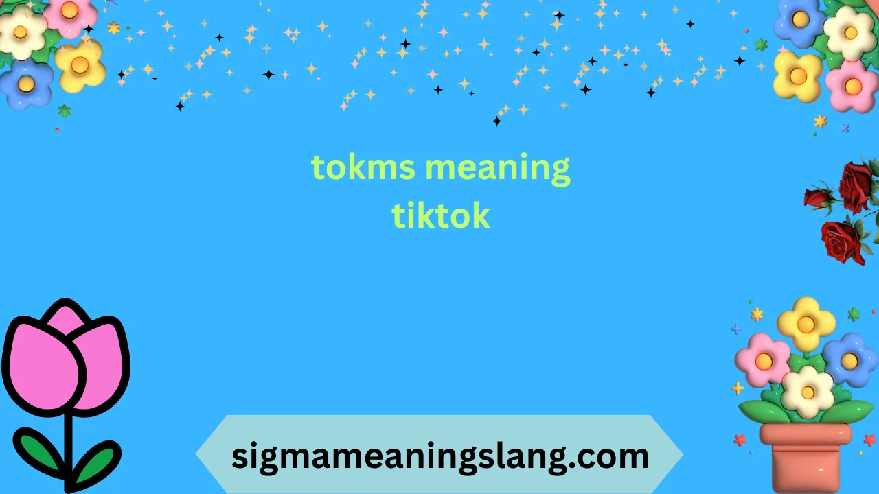 tokms meaning tiktok