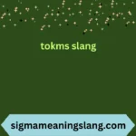 tokms slang
