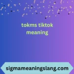 tokms tiktok meaning