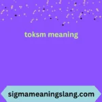 toksm meaning