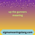 up the gunners meaning