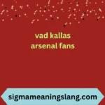 vad kallas arsenal fans