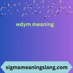 wdym meaning