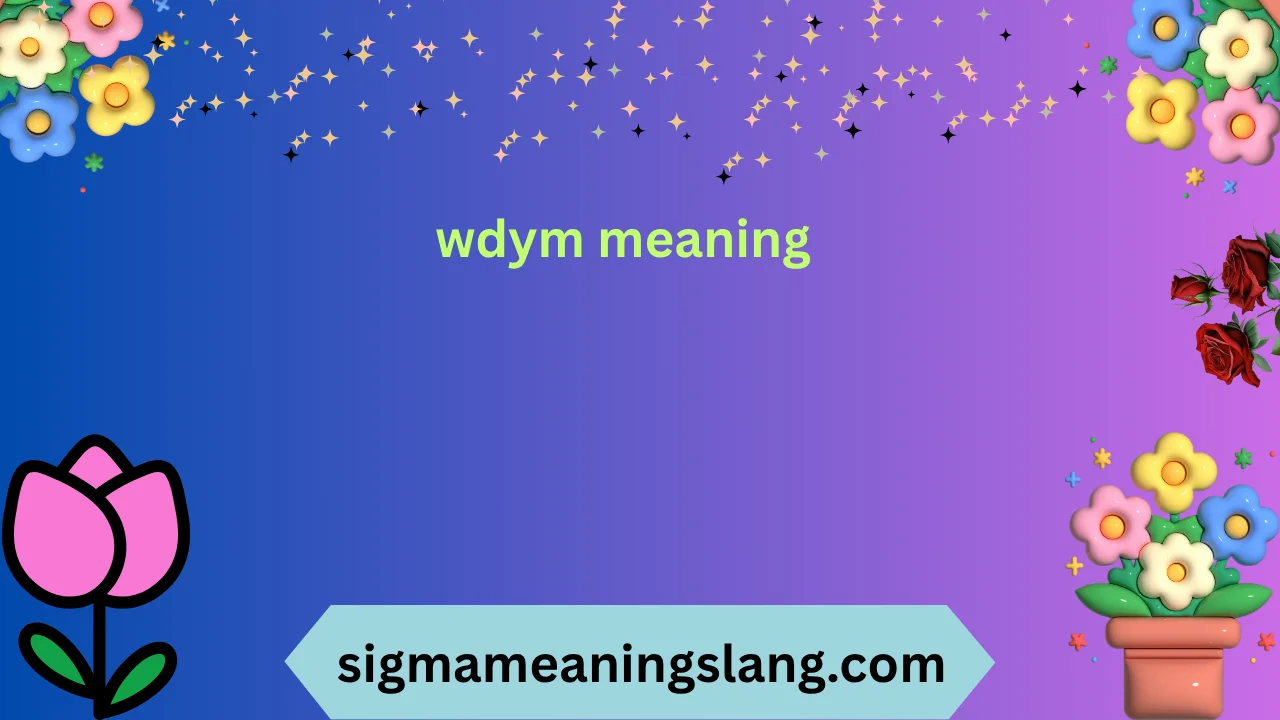 wdym meaning