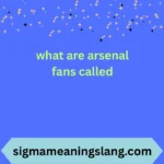 what are arsenal fans called
