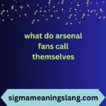 what do arsenal fans call themselves