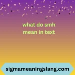 what do smh mean in text
