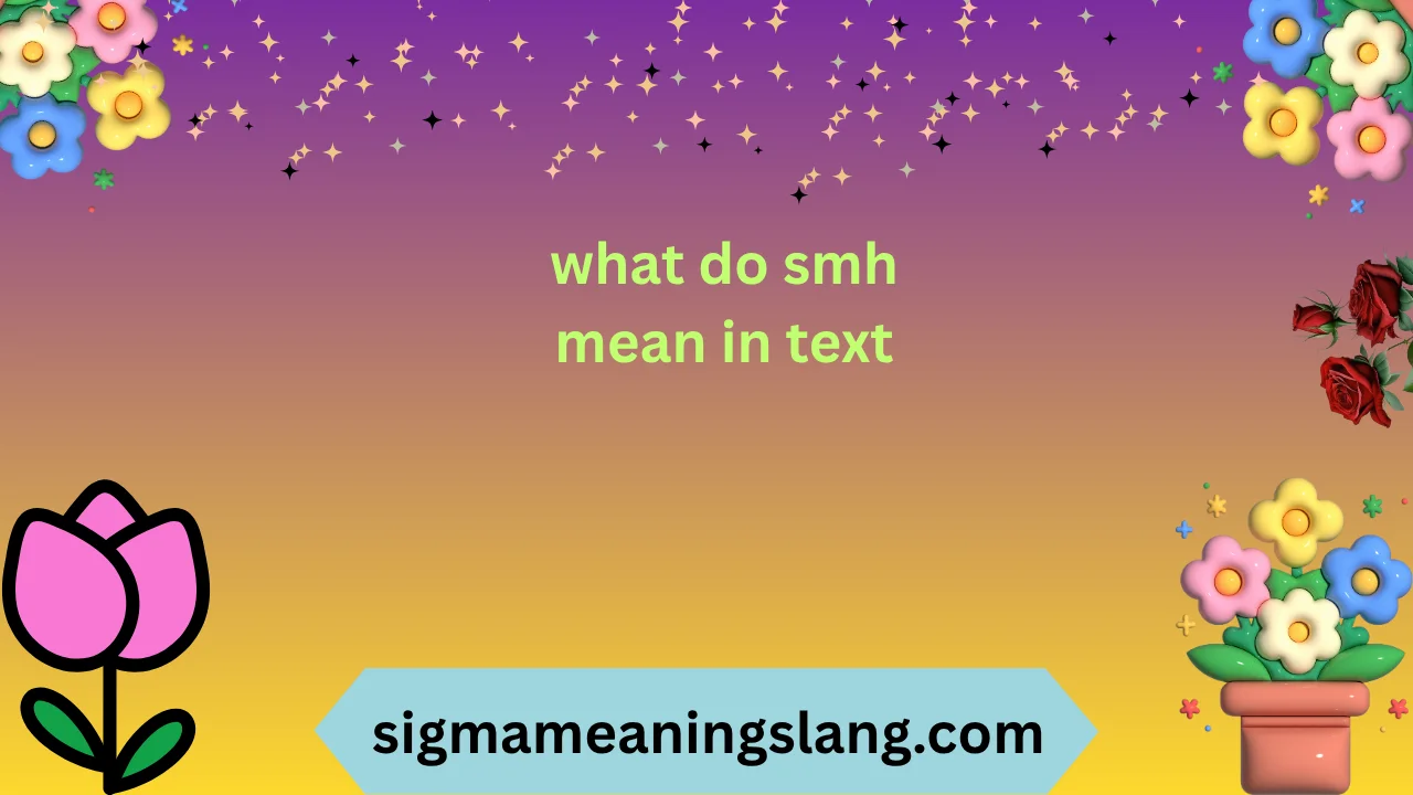 what do smh mean in text