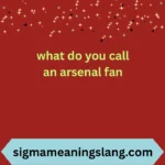 what do you call an arsenal fan