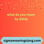 what do you mean by diddy