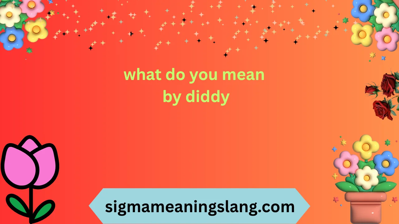 what do you mean by diddy