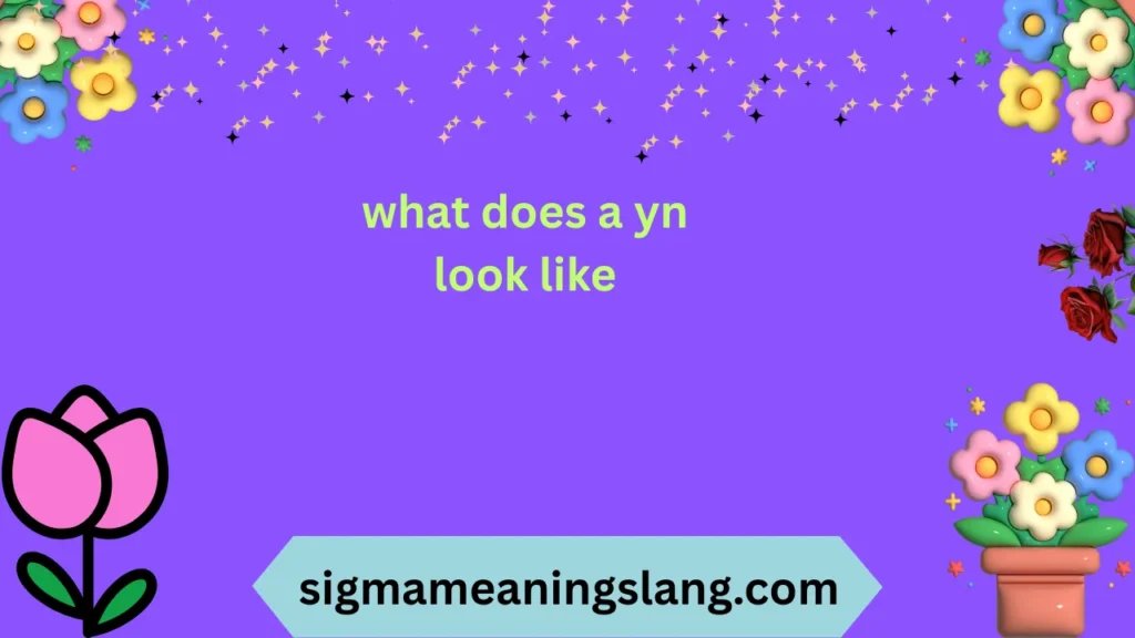 what does a yn look like
