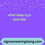 what does a yn look like