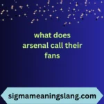 what does arsenal call their fans