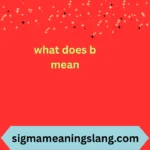 what does b mean