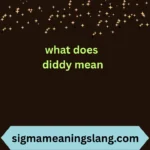 what does diddy mean