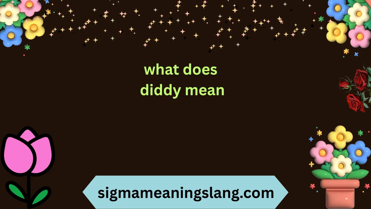 what does diddy mean