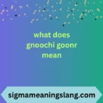 what does gnoochi goonr mean