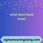 what does head mean