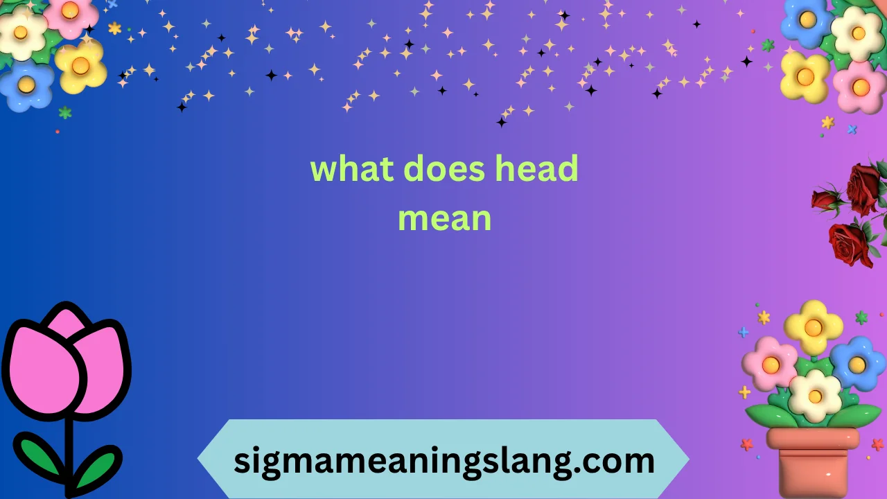 what does head mean