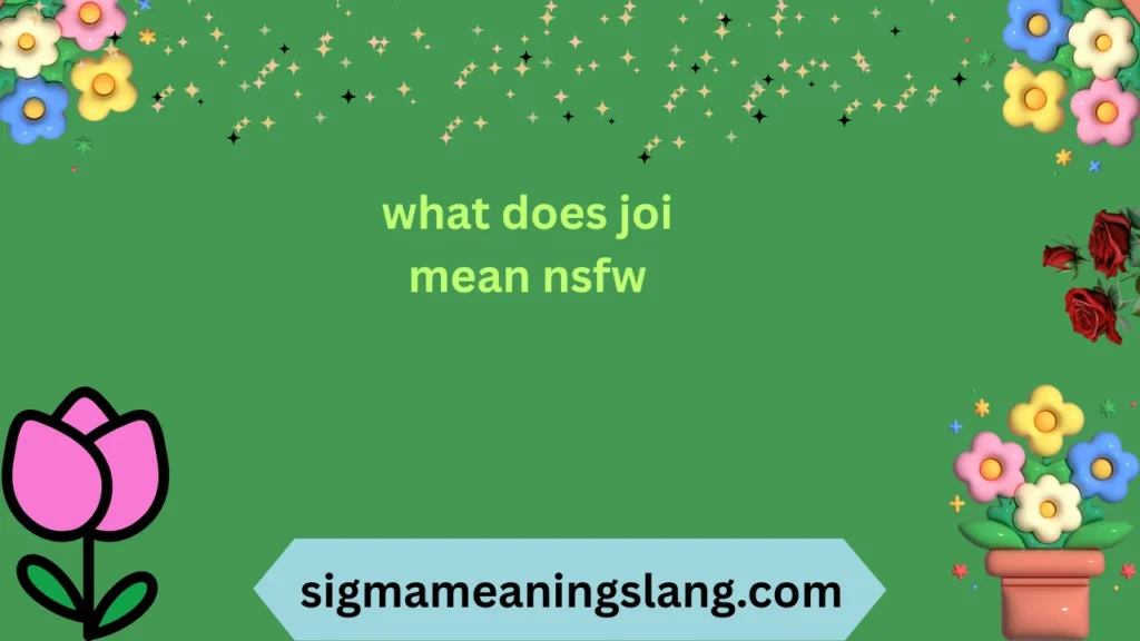 what does joi mean nsfw