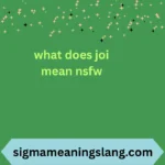 what does joi mean nsfw