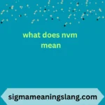 what does nvm mean