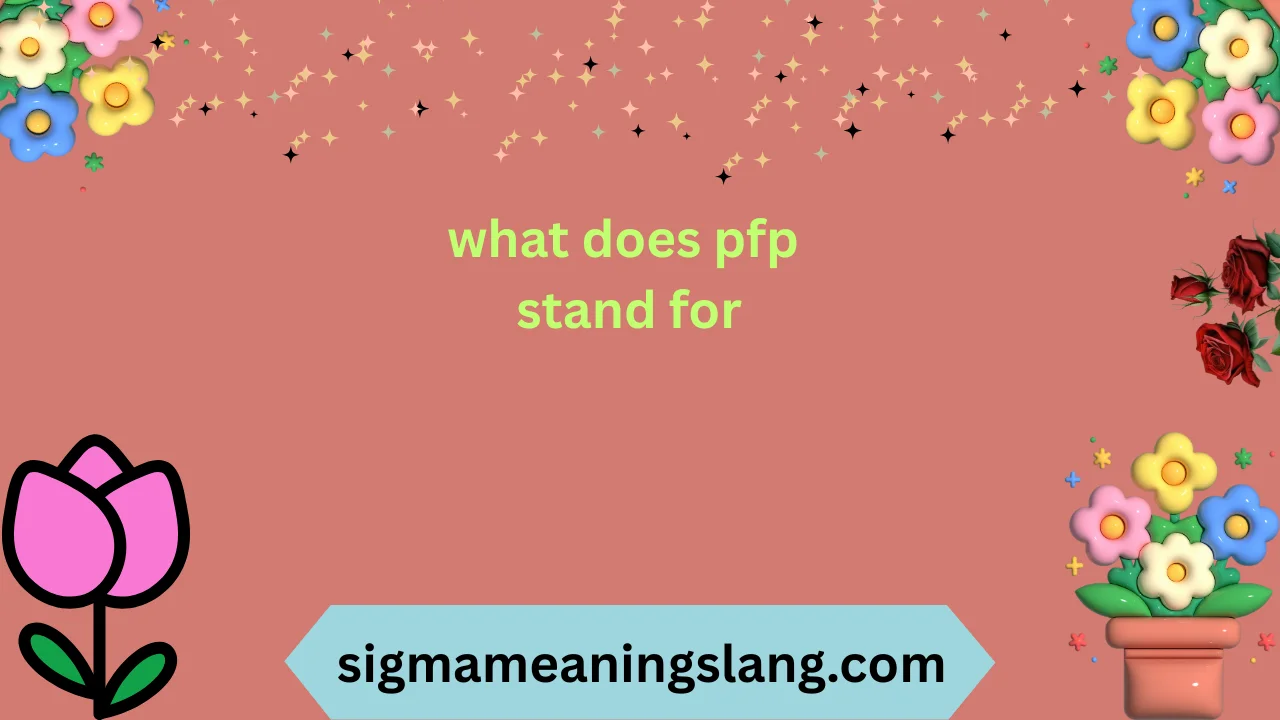 what does pfp stand for