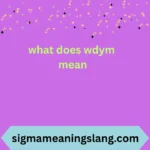 what does wdym mean